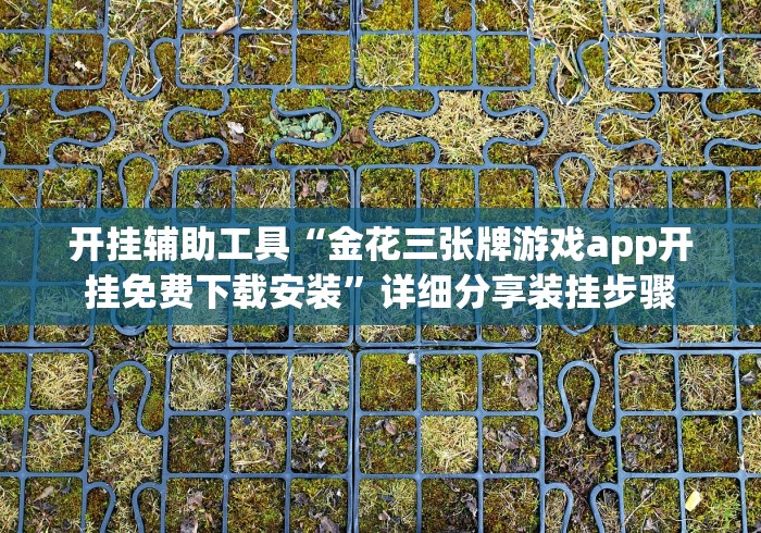 开挂辅助工具“金花三张牌游戏app开挂免费下载安装”详细分享装挂步骤